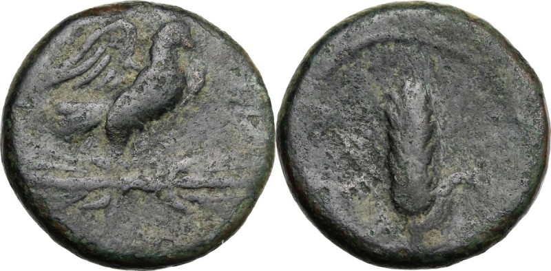 Greek Italy. Southern Apulia, Azetium. AE 16 mm. c. 300-275 BC. Eagle standing r...