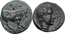 Sicily. Gela. AE tetras-Trionkion, c. 420-405 BC. Bull standing right; above, olive branch; in exergue, three pellets (mark of value). / ΓΕΛΑΣ. Horned...