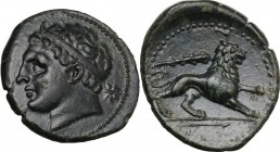 Sicily. Syracuse. Agathokles (317-289 BC). AE 25 mm c. 308-307 BC. [ΣΥΡΑΚΟΣΙΩΝ]. Young male head (Herakles?) left, wearing tainia; behind, star. / Lio...