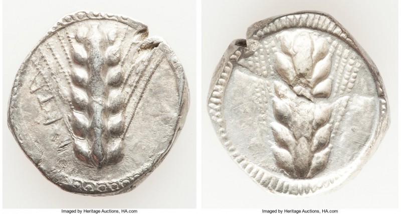 LUCANIA. Metapontum. Ca. 510-470 BC. AR stater (21mm, 7.53 gm, 12h). Choice VF. ...