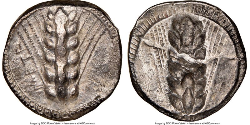 LUCANIA. Metapontum. Ca. 470-440 BC. AR stater (21mm, 7.06 gm, 12h). NGC Choice ...