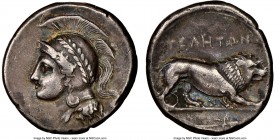 LUCANIA. Velia. Ca. 300-280 BC. AR didrachm (20mm, 7.26 gm, 5h). NGC Choice VF 5/5 - 3/5, edge marks. Head of Athena left, wearing crested Attic helme...