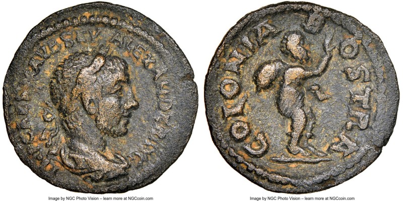 ARABIA PETRAEA. Bostra. Severus Alexander (AD 222-235). AE (19mm, 5h). NGC Choic...