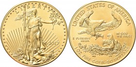USA. Federazione. 
50 Dollari 1981 American Gold Eagle. Au gr. 33,87 Dr. Libertà stante e frontale regge una torcia e un ramo d’ulivo; sullo sfondo, ...