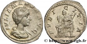 JULIA MAESA
Type : Denier 
Date : 222 
Mint name / Town : Rome 
Metal : silver 
Millesimal fineness : 500  ‰
Diameter : 20  mm
Orientation dies : 6  h...