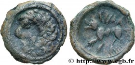 DUROCASSIS (Area of Dreux)
Type : Bronze SNIA au loup 
Date : après 52 AC. 
Mint name / Town : Dreux (28) 
Metal : bronze 
Diameter : 18,5  mm
Orienta...
