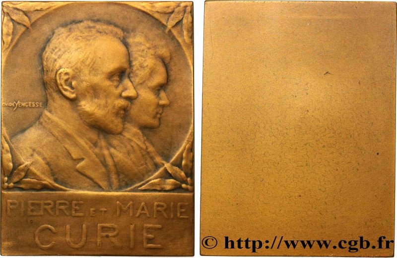 SCIENCE & SCIENTIFIC
Type : Plaque, Pierre et Marie Curie 
Date : n.d. 
Metal : ...