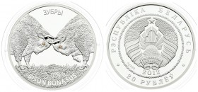 Belarus 20 Roubles 2012. Averse: National arms. Reverse: Two bison butting heads. Silver. KM 422