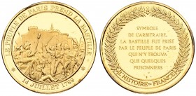 France Medal (1989)The History of France Medal. Storming of the Bastille 07/14/1789. Silver Gilding. Weight approx: 37.57 g. Diameter: 44 mm