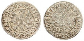 Lithuania 1/2 Grosz 1546 Vilnius. Sigismund II Augustus (1545-1572) - Lithuanian coins; 1/2 grosz 1546; Vilnius; the ending of the L / LITVA inscripti...