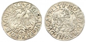 Lithuania 1/2 Grosz 1546 Vilnius. Sigismund II Augustus (1545-1572) - Lithuanian coins; 1/2 grosz 1546; Vilnius; endings of inscriptions LI / LITV; yo...