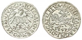 Lithuania 1/2 Grosz 1547 Vilnius. Sigismund II Augustus (1545-1572) - Lithuanian coins; 1/2 grosz 1547; Vilnius; endings of the inscriptions LI / LITV...