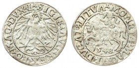 Lithuania 1/2 Grosz 1548 Vilnius. Sigismund II Augustus (1545-1572) - Lithuanian coins 1548 Vilnius; L / LITVA inscription endings; Arabic numeral 1 i...