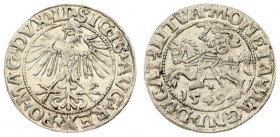 Lithuania 1/2 Grosz 1549 Vilnius. Sigismund II Augustus (1545-1572) - Lithuanian coins 1549 Vilnius; ending inscriptions LI / LITVA. Silver. Cesnulis-...