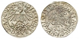 Lithuania 1/2 Grosz 1549 Vilnius. Sigismund II Augustus (1545-1572) - Lithuanian coins 1549 Vilnius; ending inscriptions LI / LITVA. Silver. Cesnulis-...