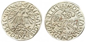 Lithuania 1/2 Grosz 1549 Vilnius. Sigismund II Augustus (1545-1572) - Lithuanian coins 1549 Vilnius; ending inscriptions LI / LITVA. Silver. Cesnulis-...