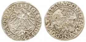 Lithuania 1/2 Grosz 1553 Vilnius. Sigismund II Augustus (1545-1572) - Lithuanian coins; 1/2 grosz 1553; Vilnius; ending of the inscription LI / LITVA....