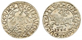 Lithuania 1/2 Grosz 1556 Vilnius. Sigismund II Augustus (1545-1572) - Lithuanian coins; 1/2 grosz 1556; Vilnius; ending of the inscription LI / LITVA....