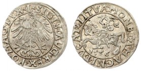 Lithuania 1/2 Grosz 1556 Vilnius. Sigismund II Augustus (1545-1572) - Lithuanian coins 1556 Vilnius; endings of L / LITVA inscriptions. Silver. Cesnul...