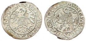 Lithuania 1/2 Grosz 1559 Vilnius. Sigismund II Augustus (1545-1572) - Lithuanian coins 1559 Vilnius; endings of the inscriptions L / LITV. Silver. Ces...