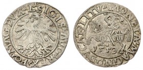 Lithuania 1/2 Grosz 1559 Vilnius. Sigismund II Augustus (1545-1572) - Lithuanian coins 1559 Vilnius; endings of the inscriptions L / LITV. Silver. Ces...