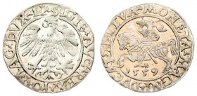 Lithuania 1/2 Grosz 1559 Vilnius. Sigismund II Augustus (1545-1572) - Lithuanian coins Vilnius. LI/ LITVA endings. Silver. Old Nice patina. Cesnulis-I...