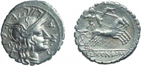 MONETE ROMANE REPUBBLICANE. GENS POBLICIA. DENARIO
C. Poblicius Malleolus C. f. (118 a.C.)
Argento, chiusa e sigillata Tevere.
D: C. MALLE . C. F T...