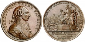 1774. Carlos III. Establecimiento de las colonias de Sierra Morena. Medalla. (MHE. 350, mismo ejemplar) (RAH. 306) (Ruiz Trapero 90) (V. 46) (Villena ...