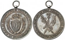 s/d. Carlos III. Cofradía de la Caridad y Paz de Madrid. Medalla. (MHE. 382, mismo ejemplar). 71,38 g. Ø52 mm. Plata. Con anilla. Bella. Rara. EBC+.