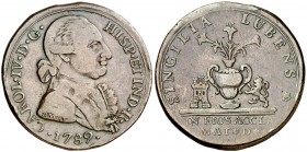 1789. Carlos IV. Antequera. Medalla de Proclamación. (Ha. 8 var. metal) (Ruiz Trapero 127) (V. 682) (V.Q. 13070 var. metal). 9,44 g. Ø28 mm. Bronce. G...