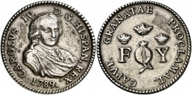 1789. Carlos IV. Granada. Medalla de Proclamación. (Ha. 35) (V.Q. 13097). 19,09 g. Ø43 mm. Plata fundida. Ex Colección Breogán, Áureo 22/10/1998, nº 2...