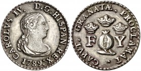 1789. Carlos IV. Granada. Medalla de Proclamación. (Ha. 41) (RAH. 341) (V.Q. 13101). 7,08 g. Ø30 mm. Plata fundida. (EBC).