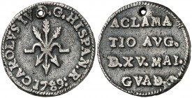 1789. Carlos IV. Guadix. Medalla de Proclamación. (Ha. 45) (V.Q. 13103). 3,96 g. Ø24 mm. Plata fundida. Perforación. Ex Áureo 22/09/1999, nº 928. (MBC...