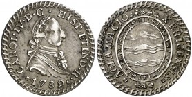 1789. Carlos IV. Jerez de la Frontera. Medalla de Proclamación. (Ha. 52) (RAH 344) (Ruiz Trapero 144) (V. 690) (V.Q. 13108 var. leyenda). 5,65 g. Ø26 ...