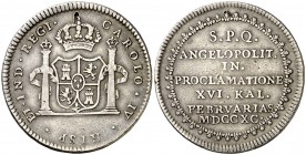 1790. Carlos IV. Puebla de los Ángeles. Medalla de Proclamación. (Ha. 191) (Medina 218) (Ruiz Trapero 262) (V. 156) (V.Q. 13227). 6,68 g. Ø28 mm. Plat...