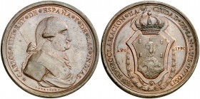 1790. Carlos IV. San Luis de Potosí. Medalla de Proclamación. (Ha. 206 var. metal) (Medina 242) (RAH. 432) (Ruiz Trapero 272 var. metal) (V. 162 var. ...