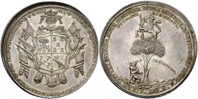 1799. Carlos IV. Don Joaquín de Pino. Medalla. (Medina Col. 31) (Ruiz Trapero 303) (V. 189). 38,18 g. Ø47 mm. Plata. Grabador: I. Fernández Arrabal. L...