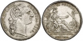 s/d (1774). Francia. Luis XVI. Academia de las Ciencias. Medalla. (Feuardent 4410) (MHE. 611, mismo ejemplar). 7,86 g. Ø28 mm. Plata. Grabador: J. Duv...
