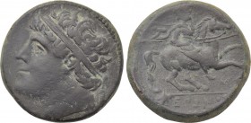SICILY. Syracuse. Hieron II (275-215 BC). Ae Hemilitron.