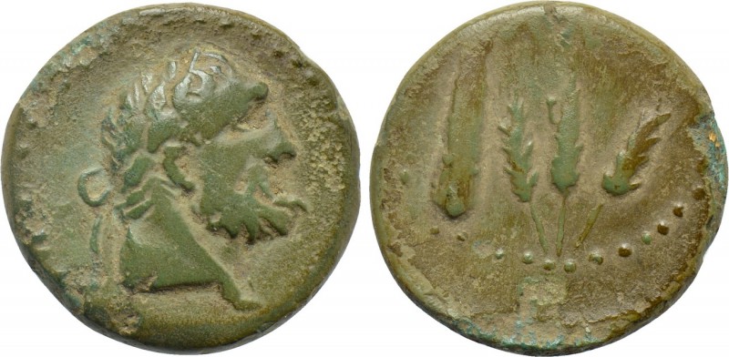 MOESIA. Kallatis. Ae (3rd-2nd centuries BC). 

Obv: Laureate head of Herakles ...