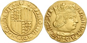 Napoli. Ferdinando I d’Aragona, 1458-1494. Emissioni dal 1458 al 1462. 

Ducato, AV 3,48 g. FERDINΛNDVS D G R S IE V Stemma coronato, inquartato di ...