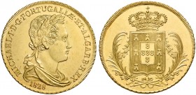Monete d’oro europee. Portogallo. Dom Miguel I, 1828-1834. 

Medio Peça 3750 reis o 2 escudos 1828 Lisbona, AV 7,05 g. Friedberg 137. Gomes 13.01.
...