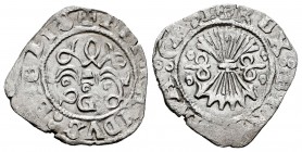 Fernando e Isabel (1474-1504). 1/2 real. Granada. (Cal-221 var). (Lf-E4.5.5.2). Anv.: FERNANDVS: ET ELIS. Rev.: + REX ET REGINA CAST. Ag. 1,63 g. G y ...