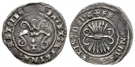 Fernando e Isabel (1474-1504). 1/2 real. Toledo. (Cal-284 var). (Lf-no cita). Ag. 1,38 g. T superada de ¿punto? bajo el yugo. Roeles adornando anverso...