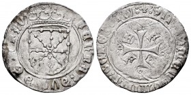 Fernando II (1479-1516). 1 real. Pamplona. (Cal-69). Ag. 3,15 g. F en 2º y 3º cuartel. La leyenda del reverso inicia con flor de lis. MBC. Est...150,0...