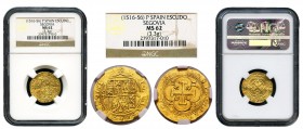 Juana y Carlos (1504-1555). 1 escudo. Segovia. P. (Cal-195). (Tauler-19). Au. 3,30 g. Escudo entre P superdada de roel y acueducto. Atractiva. Muy rar...