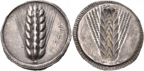 LUCANIA. Metapontum. Circa 515-510 BC. Stater (Silver, 27 mm, 8.18 g, 12 h). ΜΕΤΑΠ Seven-grained barley ear; border of dots. Rev. Seven-grained barley...