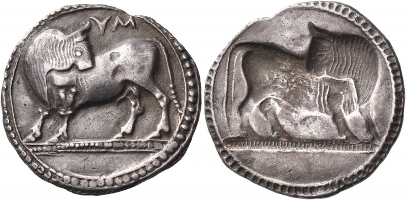 LUCANIA. Sybaris. Circa 550-510 BC. Stater (Silver, 27 mm, 7.89 g, 12 h). ΜV (re...