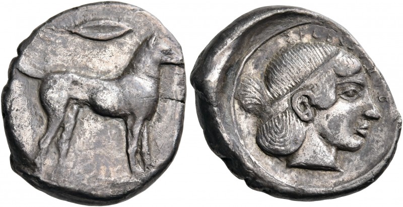 SICILY. Segesta. Circa 455-440 BC. Didrachm (Silver, 22 mm, 8.24 g, 7 h). Hound,...
