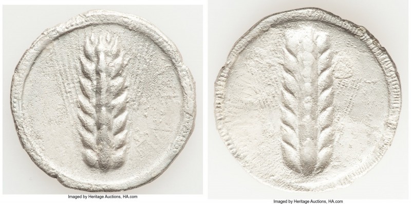 LUCANIA. Metapontum. Ca. 540-510 BC. AR stater (27mm, 6.88 gm, 12h). Choice XF. ...